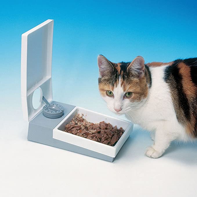 Petmate C10 automatica timer rilasciato Pet Feeder per gatti o cani Piccolo/Medio 